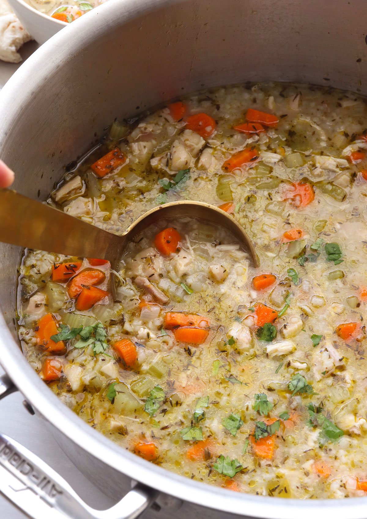 ladle in a pot of chicken and rice soup.