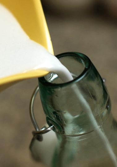 Creamy coconut milk poured into glass bottle