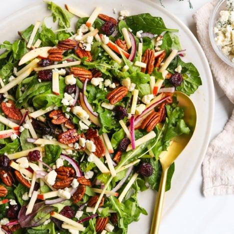 holiday salad served on an oval platter overhead.