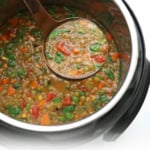 instant pot soup pin for pinterest.