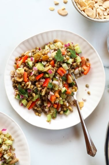 Lentil salad eaten with a fork on a white plate.