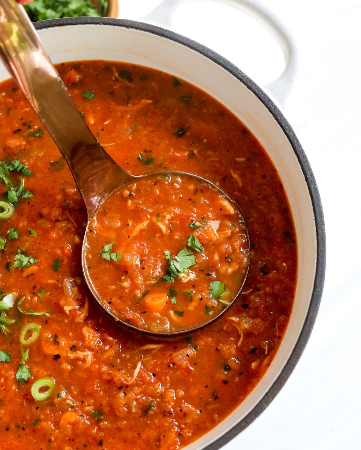 ladle sitting in a white pot of Mexican chicken soup.