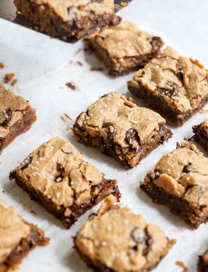 peanut butter chocolate chip blondies