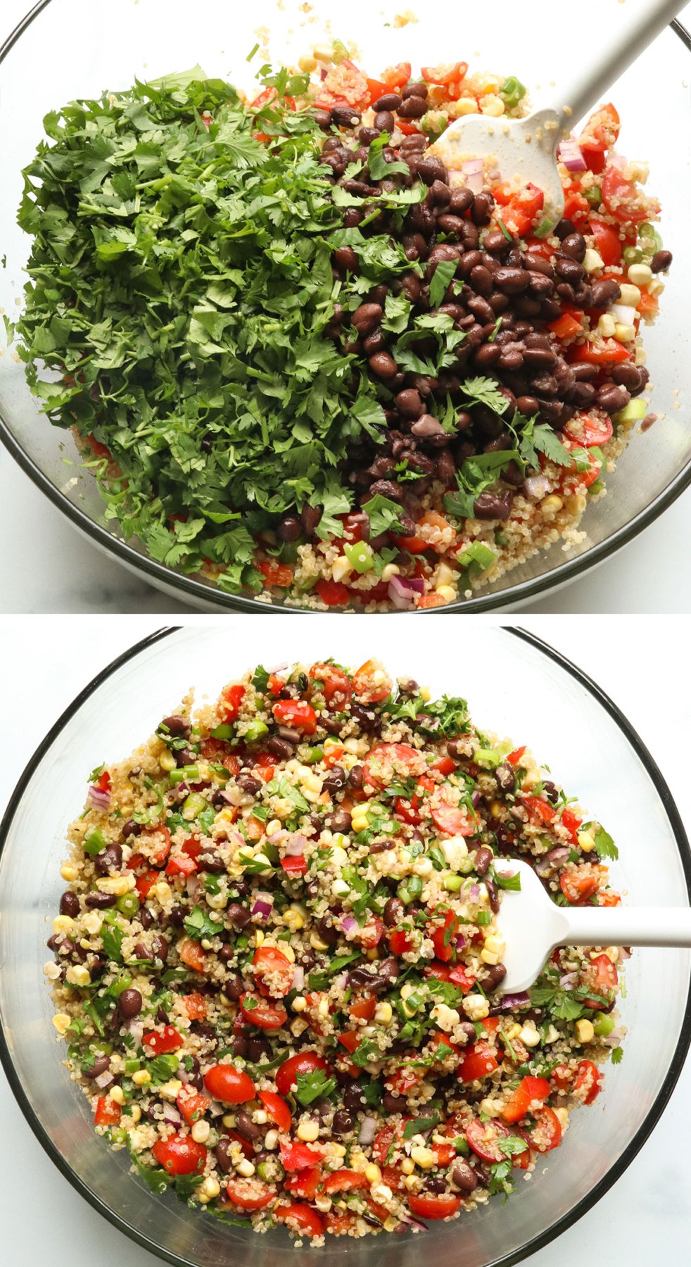 chopped cilantro and black beans stirred into salad.