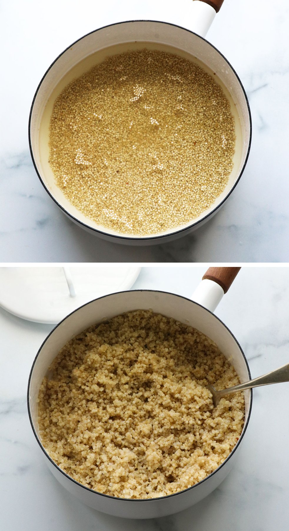 quinoa in a white pot before and after cooking it. 