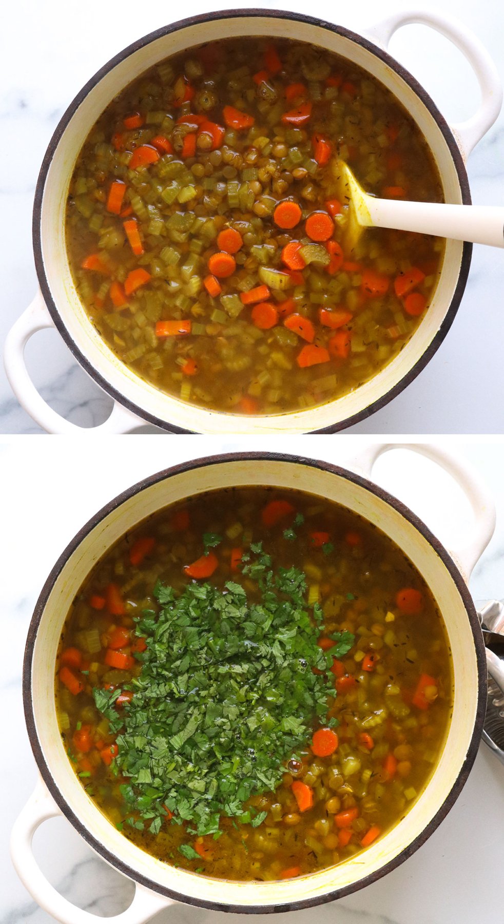 detox lentil soup cooked with fresh cilantro added on top of the pot.